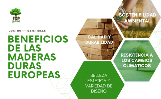 beneficios de las maderas duras europeas