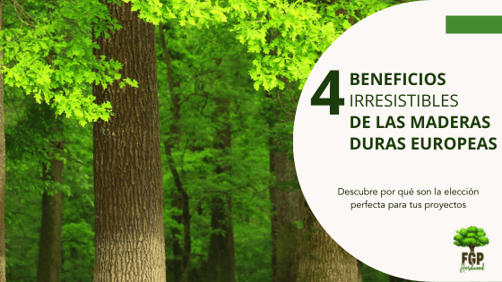 4 Beneficios de las maderas duras europeas