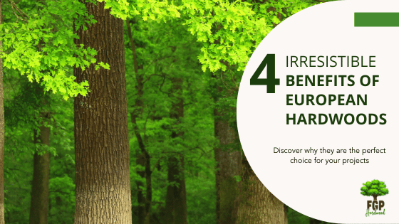 Four irresistible benefits of European hardwoods