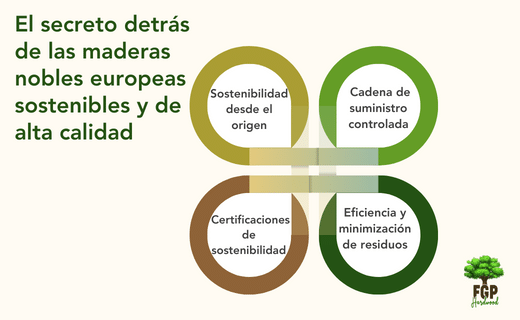 Sostenibilidad y Calidad en las Maderas Duras Europeas: Conoce su Proceso de Producción Responsable