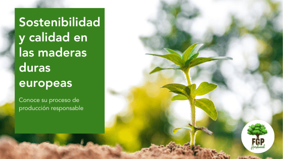 Sostenibilidad y calidad en las maderas duras europeas