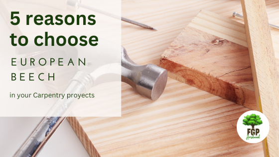5 reasons to choose European beech in your carpentry projects