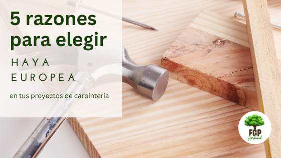 5 razones para elegir la haya europea en tus proyectos de carpintería