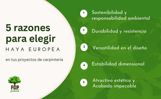 beneficios haya europea