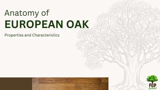 European oak, properties and characteristics