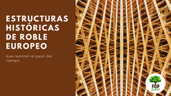 Estructuras históricas de roble europeo que perduran en el tiempo