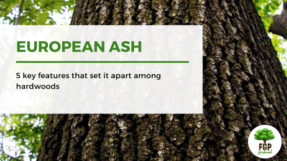 European ash: 5 key features that set it apart among hardwoods