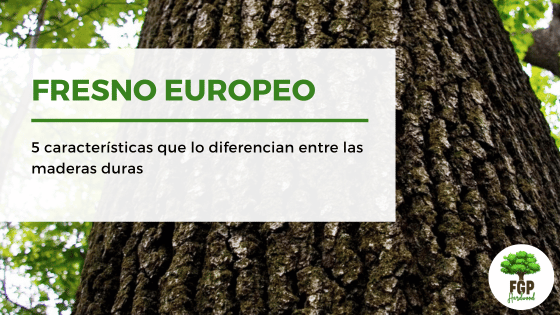 Fresno Europeo: 5 características que lo diferencian entre las maderas duras
