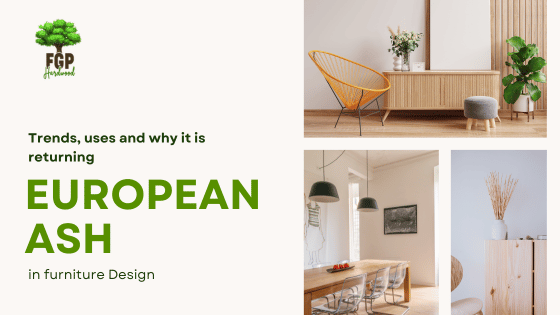 European ash in furniture design