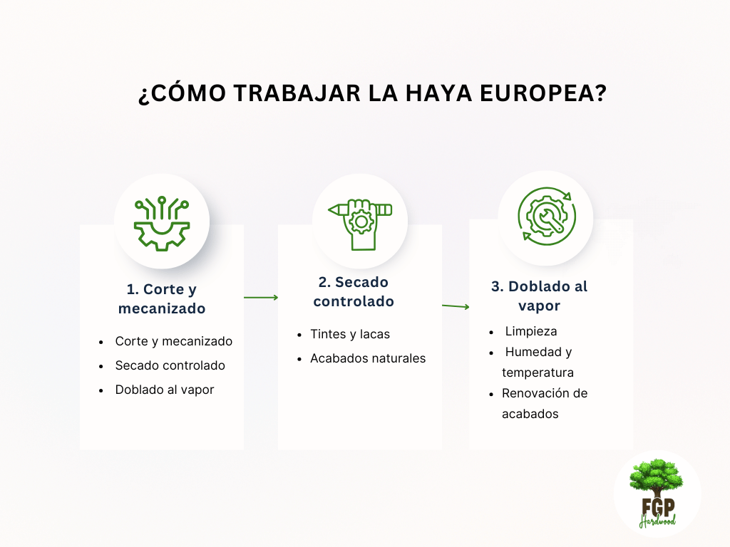 Cómo trabajar la haya europea: técnicas, acabados y cuidados