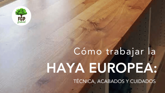 Cómo trabajar la haya europea: técnicas, acabados y cuidados